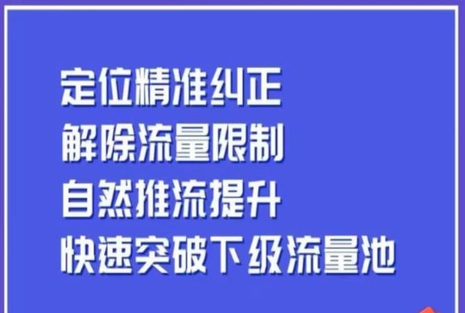 同城账号付费投放运营优化提升，​定位精准纠正，解除流量限制，自然推流提升，极速突破下级流量池-逐风项目库