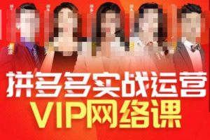 推易拼多多VIP全套直播课程，拼多多店铺实操玩法+实战玩法选款内功+直通车高阶等-逐风项目库