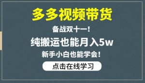 多多视频带货，备战双十一，纯搬运也能月入5w，新手小白也能学会-逐风项目库