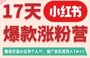 17天小红书爆款涨粉营（广告变现方向），教你打造小红书博主IP、接广告变现的-逐风项目库