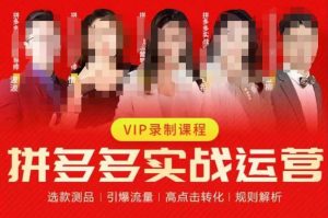 2023推易拼多多实战运营，选款测品、引爆流量、高点击转化、规则解析-逐风项目库