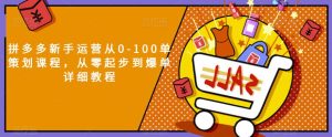 拼多多新手运营从0-100单策划课程，从零起步到爆单详细教程-逐风项目库