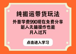 纯搬运带货玩法，外面学费990现在免费分享，新人无脑操作也能月入过万【揭秘】-逐风项目库