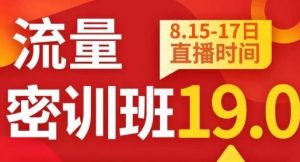 秋秋线上流量密训班19.0，打通流量关卡，线上也能实战流量破局-逐风项目库