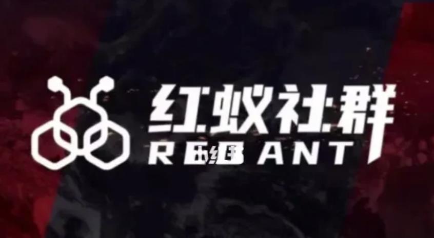 社群运营：红蚁社群【48节落地系统课程+2000人高端社群】-逐风项目库