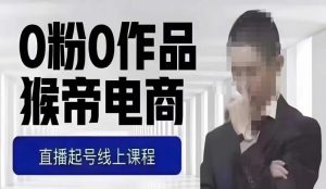 猴帝最新1600线上课，0粉起号实操教学，自然流量天花板，7-8月9节，20+小时-逐风项目库