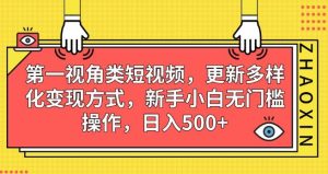 第一视角类短视频，更新多样化变现方式，新手小白无门槛操作，日入500+【揭秘】-逐风项目库