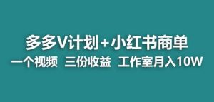 【蓝海项目】多多v计划+小红书商单一个视频三份收益工作室月入10w-逐风项目库