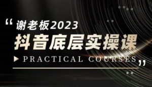蟹老板·2023抖音底层实操课，打造短视频的底层认知-逐风项目库