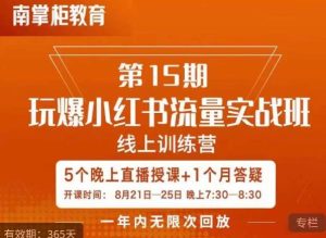辛言玩爆小红书流量实战班，小红书种草是内容营销的重要流量入口-逐风项目库
