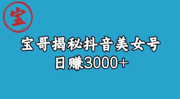 宝哥揭秘抖音美女号玩法，日赚3000+【揭秘】-逐风项目库