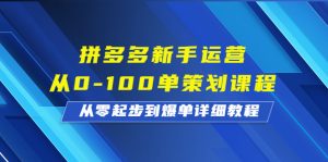 拼多多新手运营从0-100单策划课程,从零起步到爆单详细教程-逐风项目库