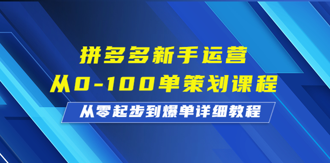 拼多多新手运营从0-100单策划课程,从零起步到爆单详细教程-逐风项目库