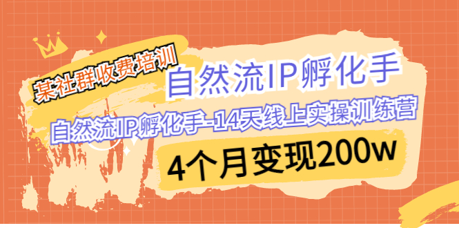 某社群收费培训：自然流IP 孵化手-14天线上实操训练营 4个月变现200w-逐风项目库