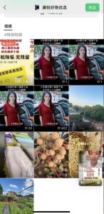 外面收费198的最新视频号连怼技术，条条原创，条条爆单【揭秘】-逐风项目库