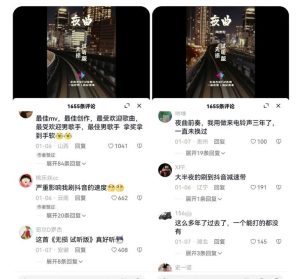副业拆解：抖音杰伦音乐号涨粉变现项目，视频版一条龙实操玩法分享给你-逐风项目库