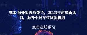 黑冰·海外短视频带货，2023年跨境新风口，海外小黄车带货新机遇-逐风项目库