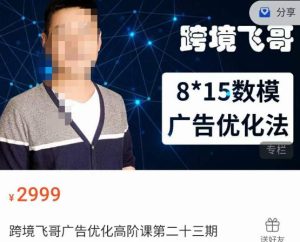 跨境飞哥·广告优化高阶课第二十三期，​8*15数模广告优化法，用数据驱动决策-逐风项目库