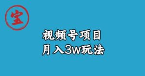宝哥视频号无货源带货视频月入3w，详细复盘拆解-逐风项目库