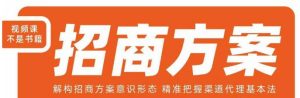 王昕招商方案，解构招商方案意识形态，精准把握渠道代理基本法-逐风项目库