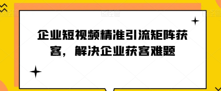 企业短视频精准引流矩阵获客，解决企业获客难题-逐风项目库