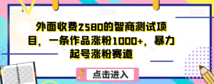 外面收费2580的智商测试项目，一条作品涨粉1000+，暴力起号涨粉赛道【揭秘】-逐风项目库