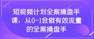 短视频计划全案操盘手课，从0-1会做有效流量的全案操盘手-逐风项目库