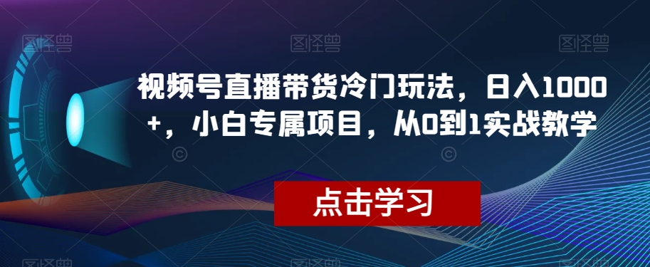 视频号直播带货冷门玩法，日入1000+，小白专属项目，从0到1实战教学【揭秘】-逐风项目库