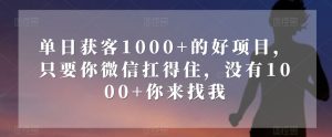 单日获客1000+的好项目，只要你微信扛得住，没有1000+你来找我【揭秘】-逐风项目库