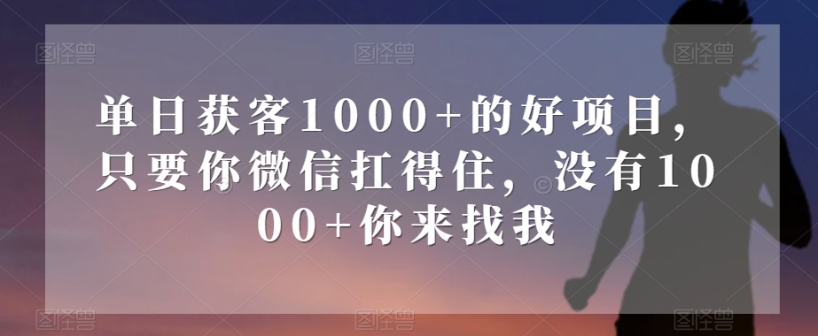 单日获客1000+的好项目，只要你微信扛得住，没有1000+你来找我【揭秘】-逐风项目库