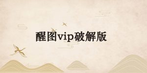 醒图vip破解版-逐风项目库