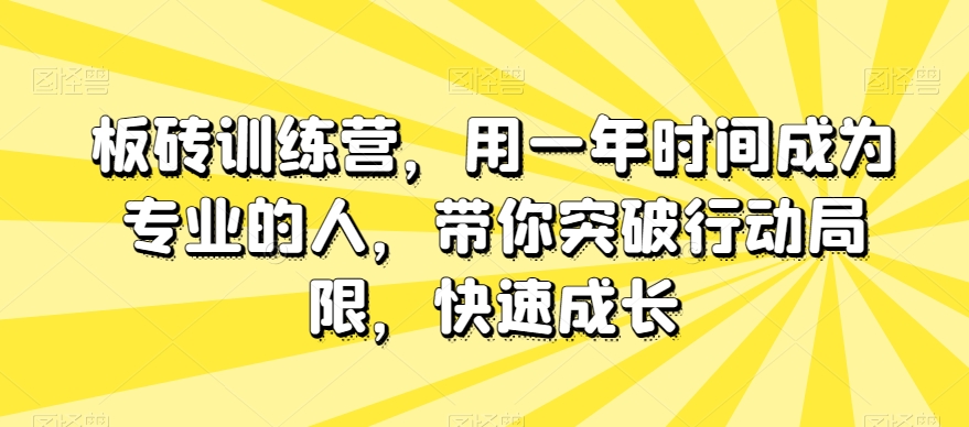 板砖训练营，用一年时间成为专业的人，带你突破行动局限，快速成长-逐风项目库