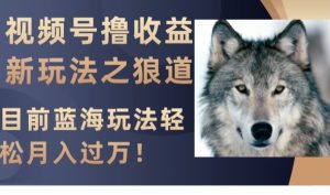 视频号撸收益新玩法之狼道，目前蓝海玩法，轻松月入过万【揭秘】-逐风项目库