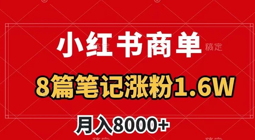 小红书商单最新玩法，8篇笔记涨粉1.6w，作品制作简单，月入8000+【揭秘】-逐风项目库
