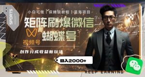 矩阵刷爆微信蝴蝶号创作者分成计划收益的新玩法，日入2000+【揭秘】-逐风项目库