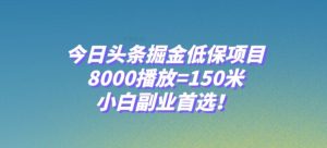 今日头条掘金低保项目，8000播放=150米，小白副业首选【揭秘】-逐风项目库