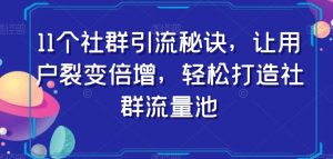 11个社群引流秘诀，让用户裂变倍增，轻松打造社群流量池-逐风项目库