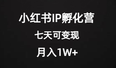 价值2000+的小红书IP孵化营项目，超级大蓝海，七天即可开始变现，稳定月入1W+-逐风项目库