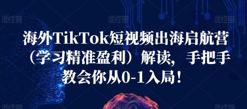 海外TikTok短视频出海启航营（学习精准盈利）解读，手把手教会你从0-1入局！-逐风项目库