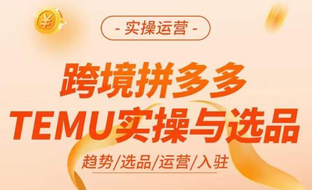 跨境拼多多TEMU实操与选品，​掌握平台运营方法技巧，选品避坑12条标准，爆款的底层思路等-逐风项目库