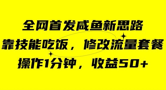 咸鱼冷门新玩法，靠“技能吃饭”，修改流量套餐，操作1分钟，收益50【揭秘】-逐风项目库