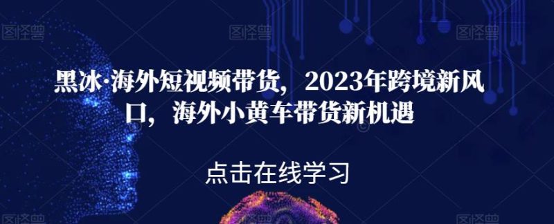 黑冰·海外短视频带货，2023年跨境新风口，海外小黄车带货新机遇-逐风项目库