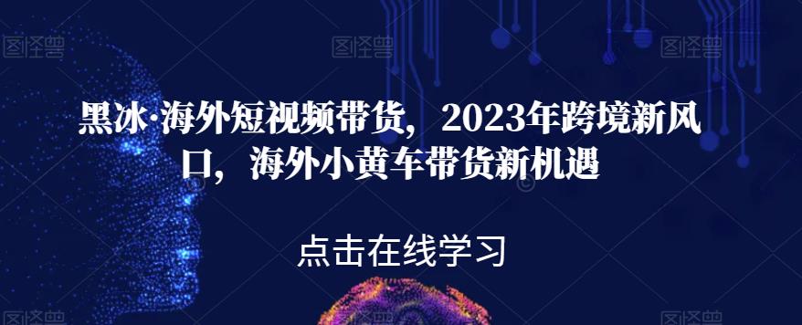 黑冰·海外短视频带货，2023年跨境新风口，海外小黄车带货新机遇-逐风项目库