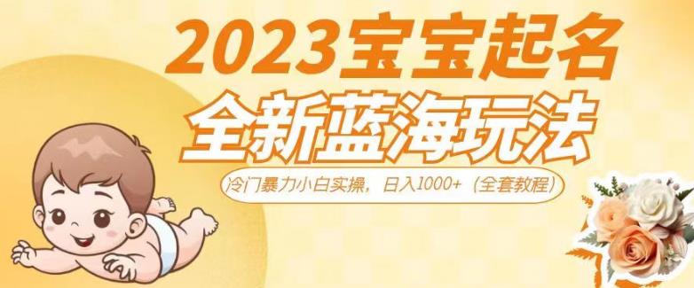 2023宝宝起名全新蓝海玩法，冷门暴力小白实操，日入1000+（全套教程）【揭秘】-逐风项目库