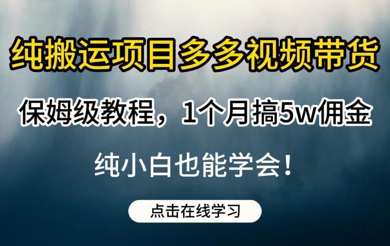 纯搬运项目多多视频带货保姆级教程，1个月搞5w佣金，纯小白也能学会【揭秘】-逐风项目库