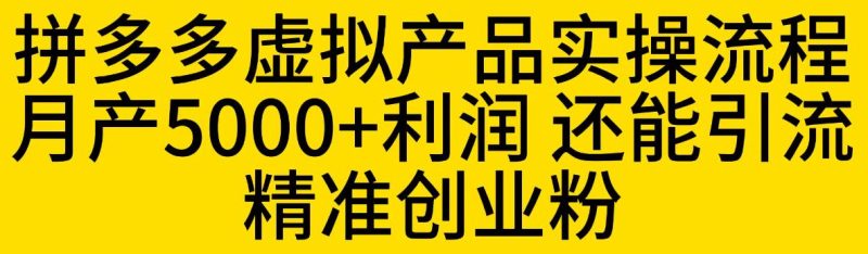 拼多多虚拟产品实操流程，月产5000+利润，还能引流精准创业粉【揭秘】-逐风项目库
