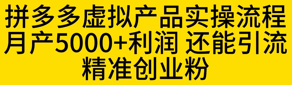拼多多虚拟产品实操流程，月产5000+利润，还能引流精准创业粉【揭秘】-逐风项目库