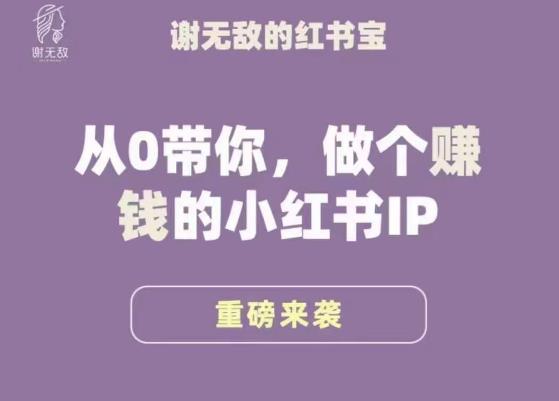 谢无敌·小红书运营大宝典，从0带你做个赚钱的小红书IP-逐风项目库
