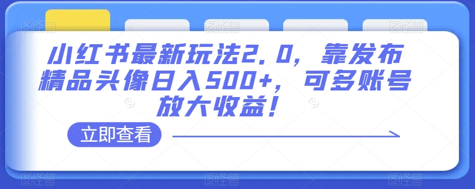 小红书最新玩法2.0，靠发布精品头像日入500+，可多账号放大收益！【揭秘】-逐风项目库