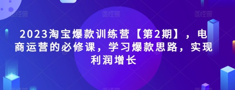 2023淘宝爆款训练营【第2期】，电商运营的必修课，学习爆款思路，实现利润增长-逐风项目库